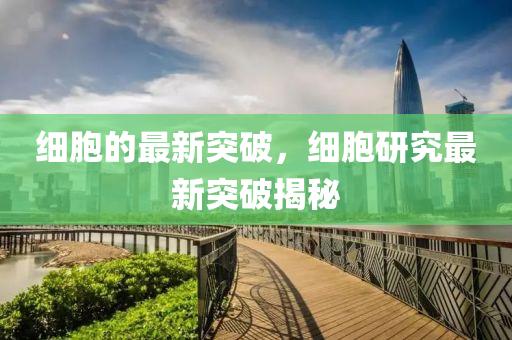 域名最新通知,域名最新消息，最新域名动态，速览最新通知与消息