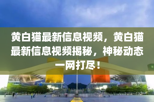 最新征兵体检,最新征兵体检标准，2023年度最新征兵体检标准及流程解读