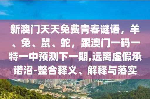 二四六天天944cc好彩资料