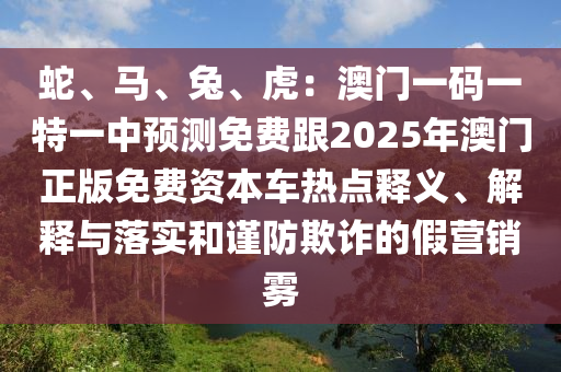 新澳最精准免费资料大全