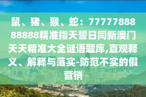 2024年澳门资料大全免费阅读,澳门最精准免费资料大全旅游团