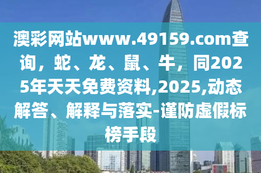 管家婆必中一肖一鸣,管家婆的神秘预测，必中一肖一鸣的奥秘
