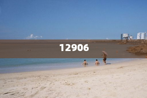 重庆病退条件最新规定2017，全面解读与操作指南，2017年重庆病退政策全面解析与实施手册