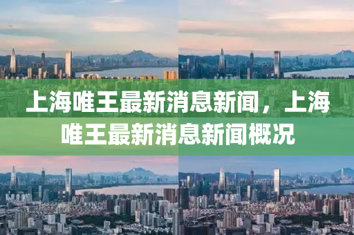 上海唯王最新消息新聞，上海唯王最新消息新聞概況東莞市世佑電子有限公司