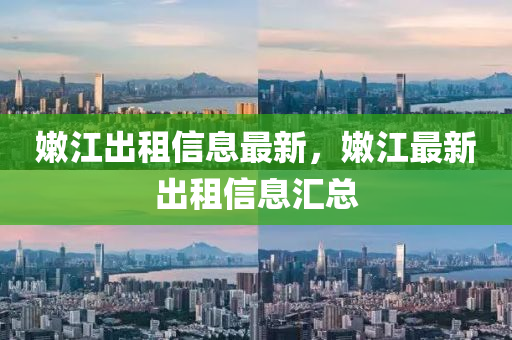 珠海哪里买新能源车便宜，珠海新能源车购买攻略，探寻便宜购车地点