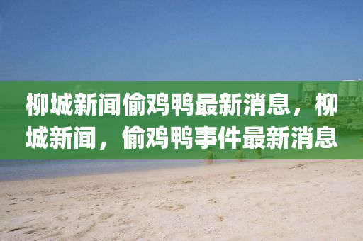 柳城新聞偷雞鴨最新消息，柳城新聞，偷雞鴨事件最新消息