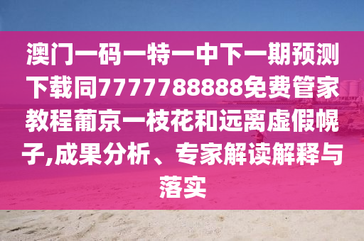 2024澳门天天六开,可靠解答解析说明_AR版92.14.97，关于澳门游戏业及AR版92.14.97的解析与警示，警惕非法娱乐活动风险
