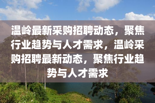 2017年十大热词，2017年度十大热门词汇回顾