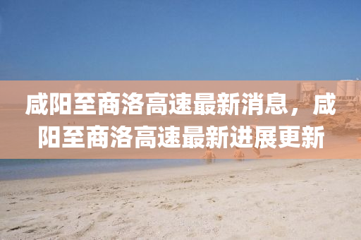 今日关注女主持人，今日焦点，女主持人风采展示