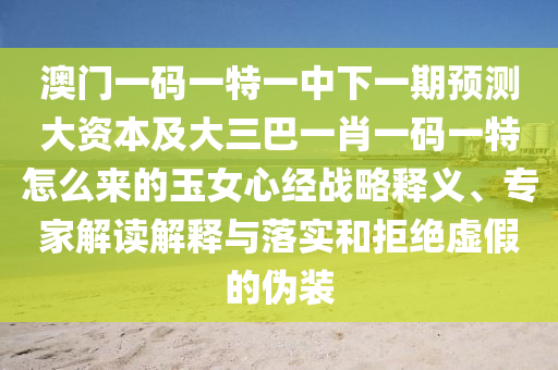 中国股市狐狸，中国股市的狐狸，揭秘市场操纵者真面目