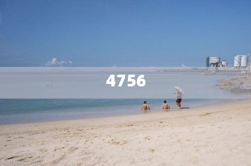 澳门今晚必开一肖,刘伯温网一蔷薇花开