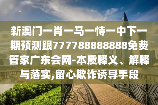 徐枫灿为什么改国籍,徐枫灿为什么改国籍了