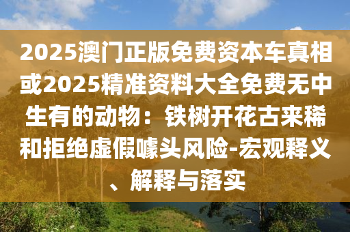 2023珠海航展兵器,珠海航展 兵器，珠海航展兵器全景展示，尖端武器悉数登场