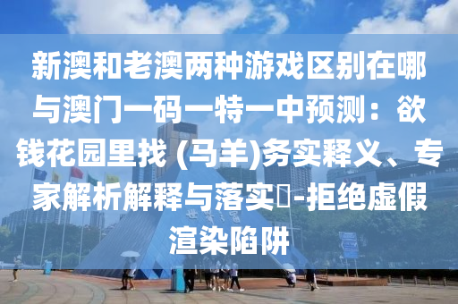 最新金湖新闻，金湖最新动态，聚焦本土热点资讯