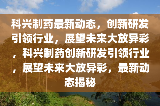 内部公开一码资料,内部公开一码资料是什么