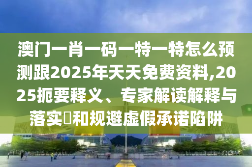 2024年11月23日 第6页