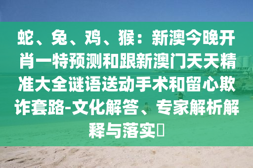 2025年10月 第21頁