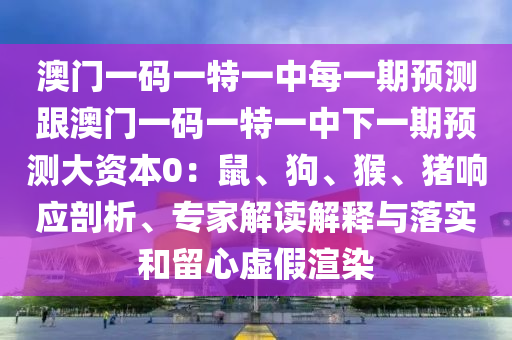 离婚最新程序，离婚最新程序详解
