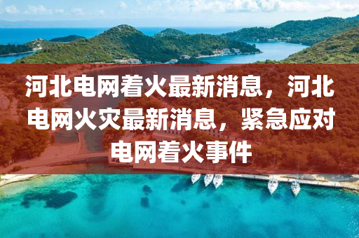 蔡莉最新消息，蔡莉最新动态解析