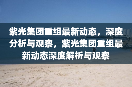 最新的宝可梦，探索宝可梦新篇章，最新游戏揭秘